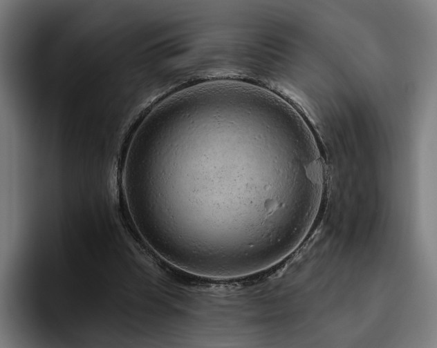 X0000094770345200711161400