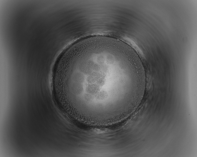 X0000094770346200711161400