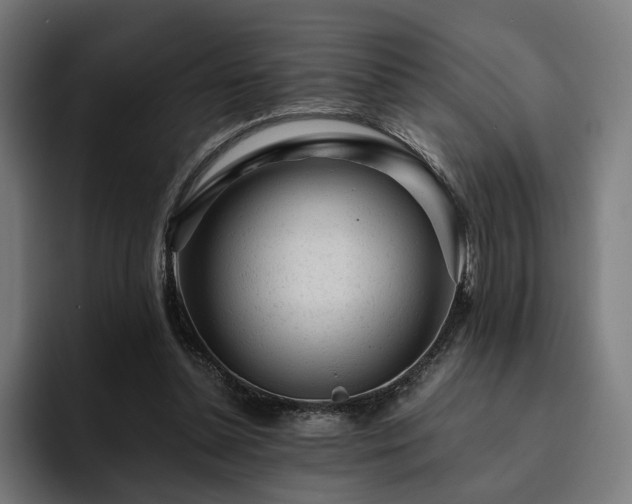 X0000094770348200711161400