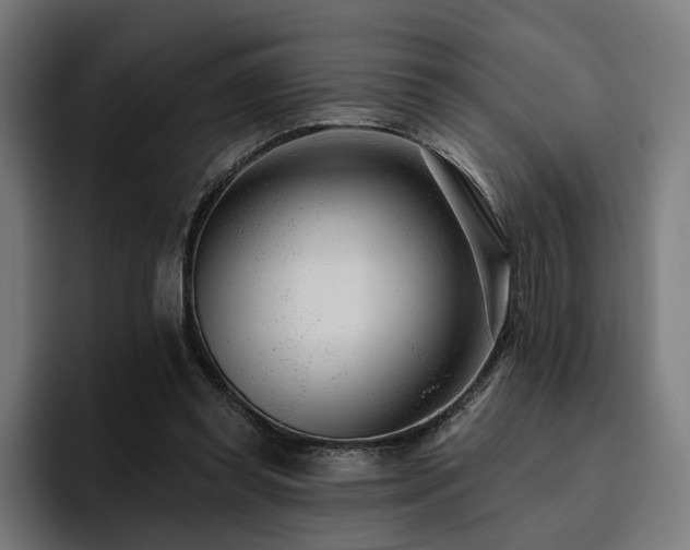 X0000094770349200711161400