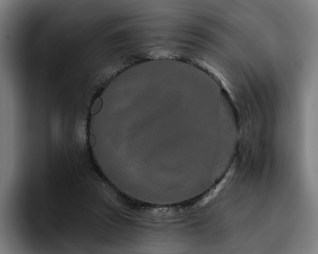 X0000094770353200711161400