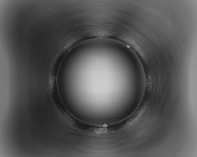 X0000094770355200711161400