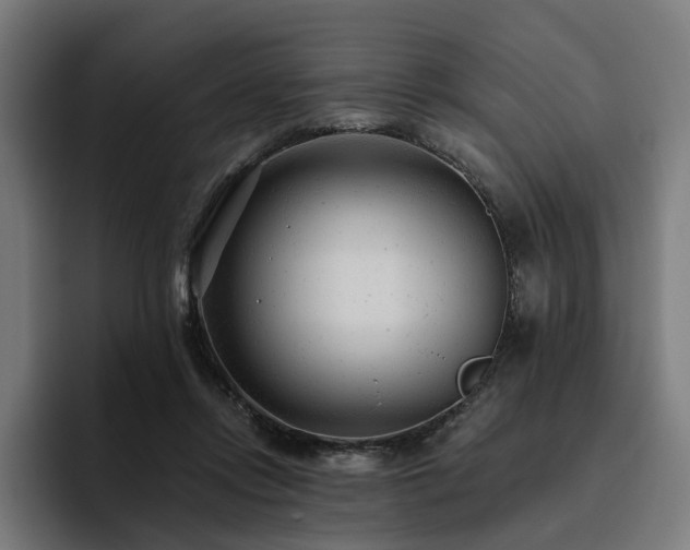 X0000094770358200711161400