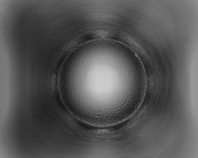 X0000094770361200711161400