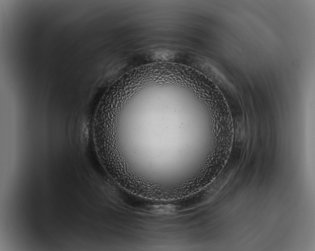 X0000094770363200711161400