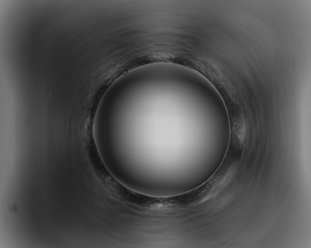 X0000094770364200711161400