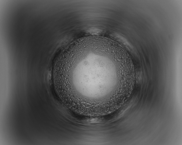 X0000094770365200711161400