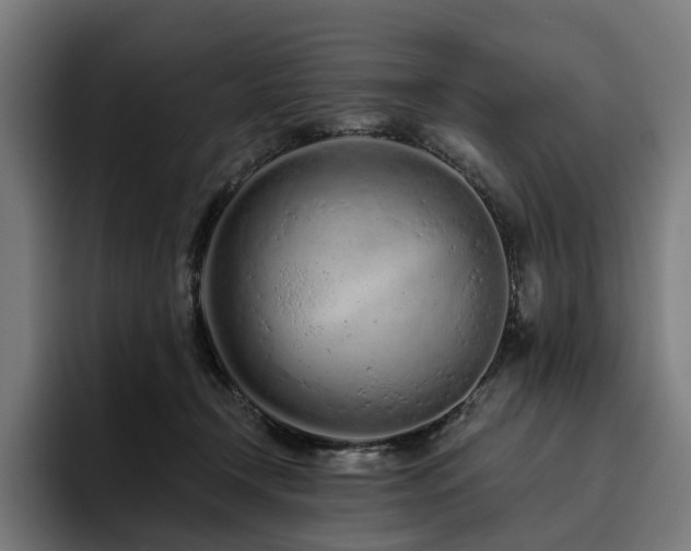 X0000094770366200711161400