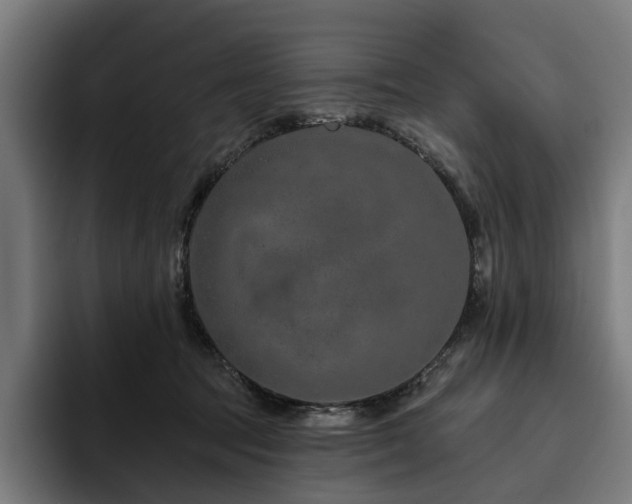 X0000094770369200711161400