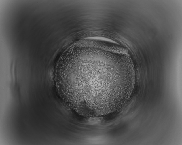 X0000094770373200711161400