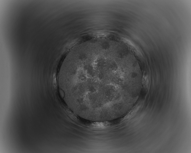 X0000094770381200711161401