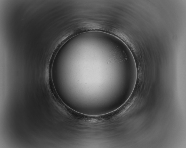 X0000094770390200711161400