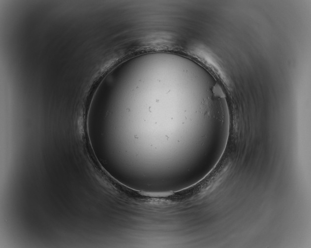 X0000094770393200711161400