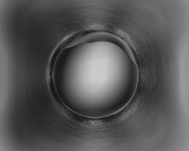 X0000094770395200711161400