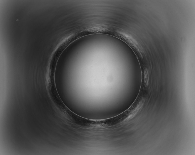 X0000094770396200711161400