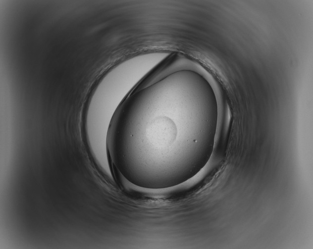 X0000094770397200711161400