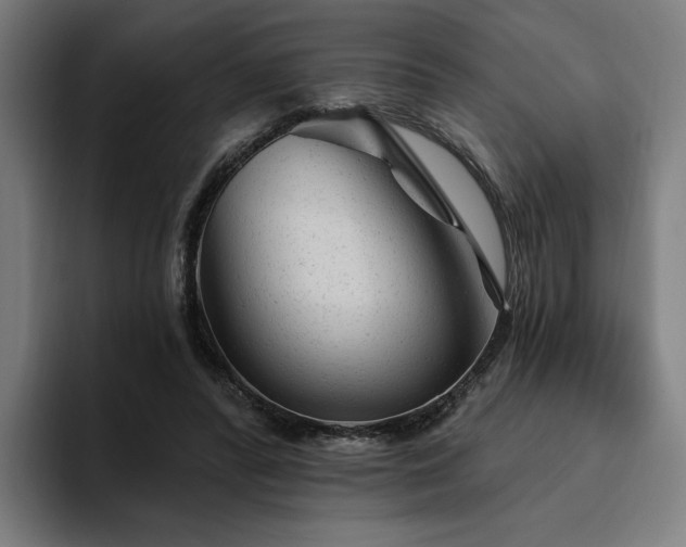 X0000094770400200711161400