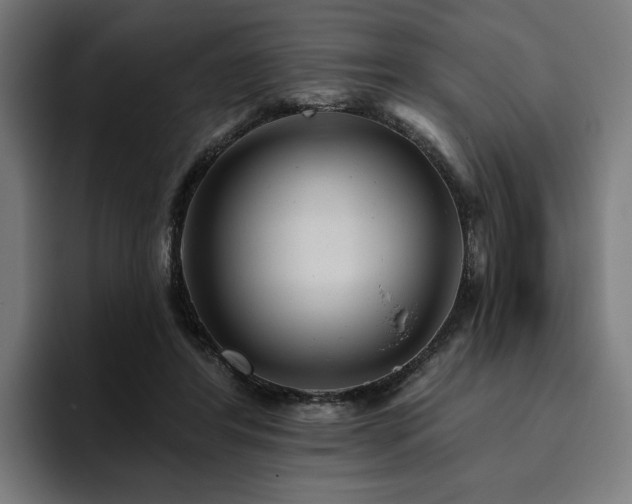 X0000094770404200711161400