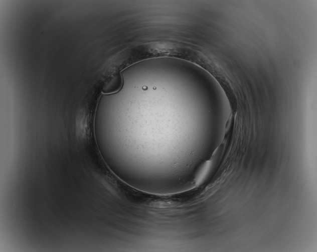 X0000094770408200711161400