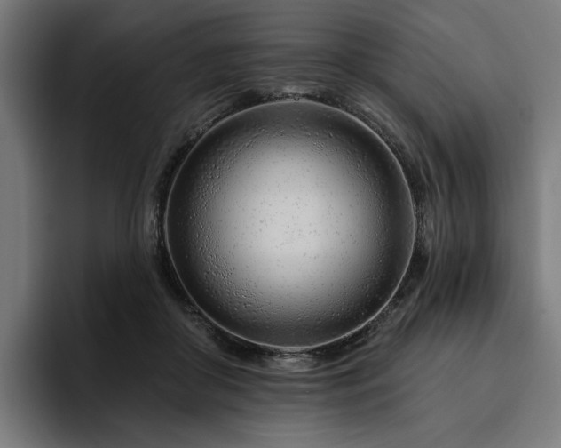 X0000094770410200711161400