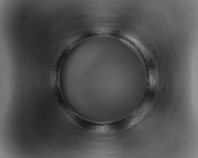 X0000094770411200711161400