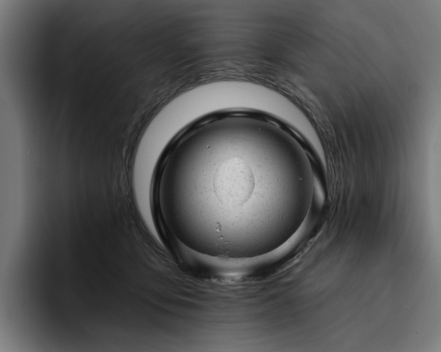 X0000094770419200711161400