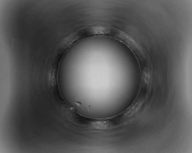 X0000094770422200711161359