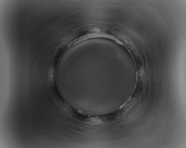 X0000094770423200711161359