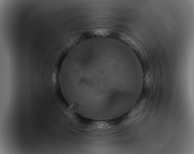 X0000094770424200711161359