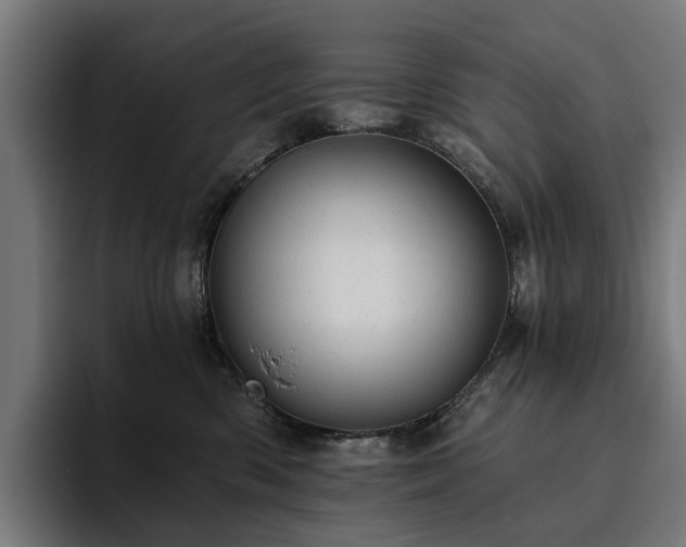 X0000094770426200711161359