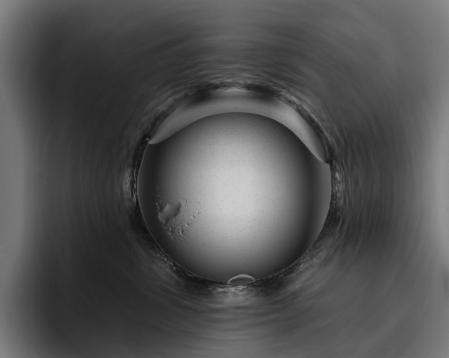 X0000094770428200711161359