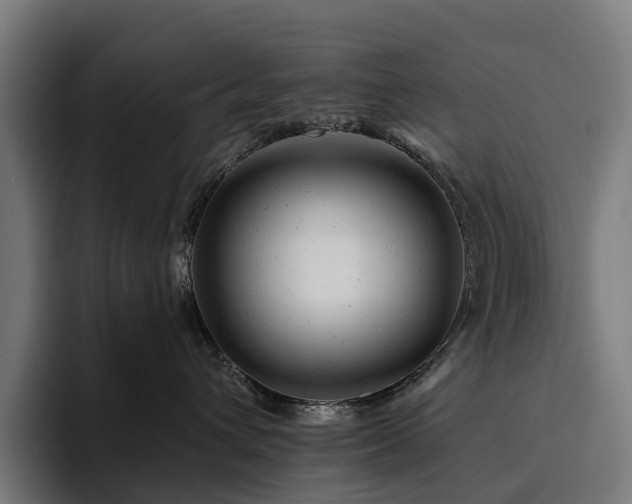 X0000094770432200711161359