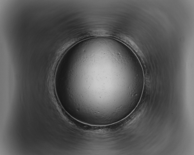 X0000094770433200711161359