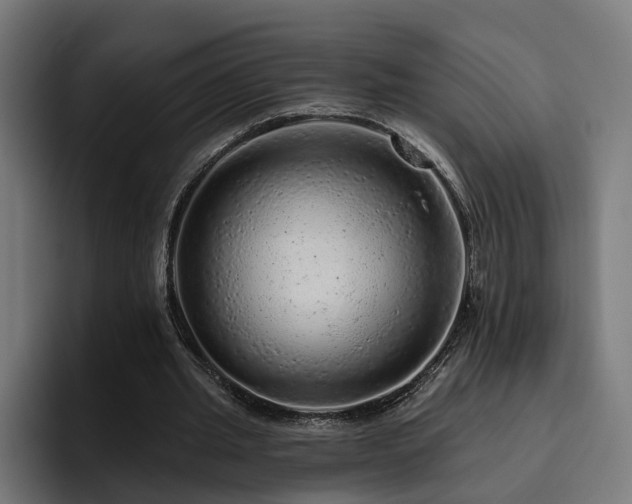 X0000094770437200711161359