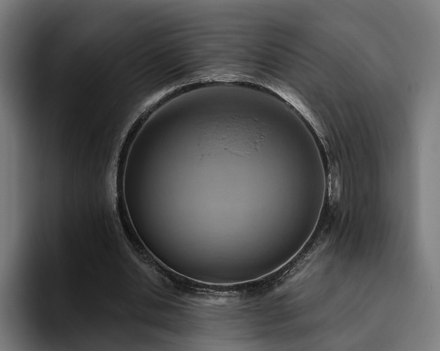 X0000094770438200711161359