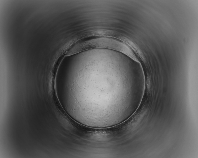 X0000094770445200711161359