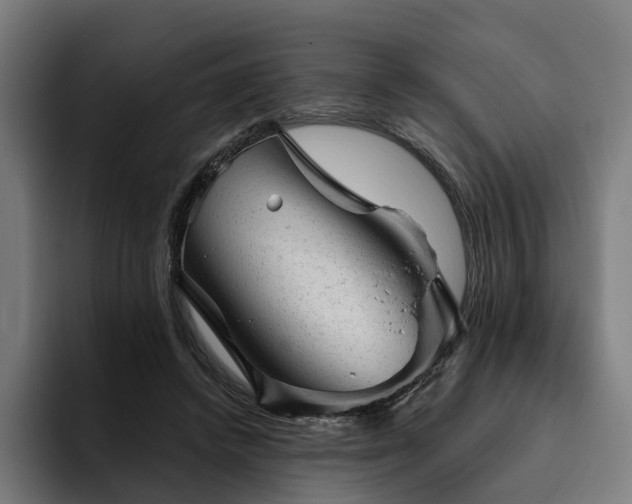 X0000094770448200711161359