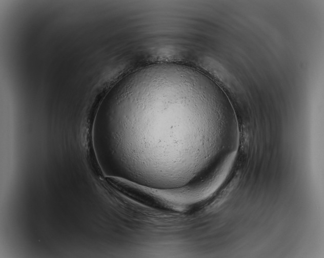 X0000094770450200711161359