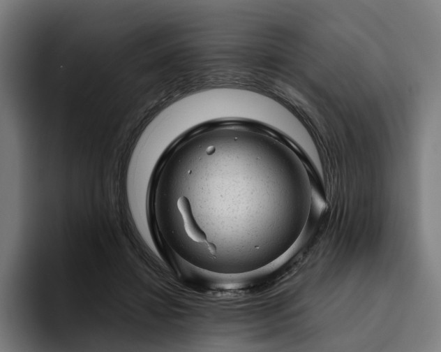 X0000094770452200711161359