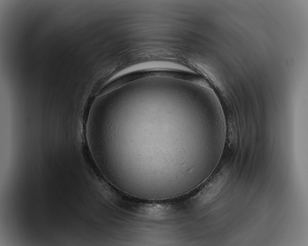 X0000094770453200711161359