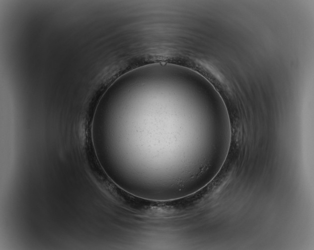 X0000094770455200711161359