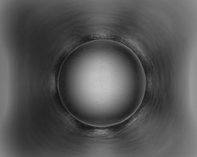 X0000094770457200711161359