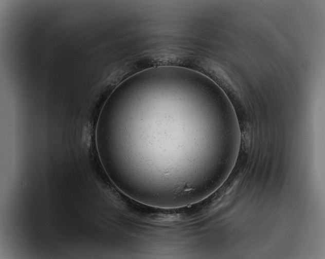 X0000094770458200711161359