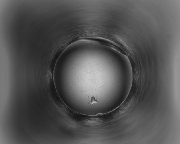 X0000094770459200711161359