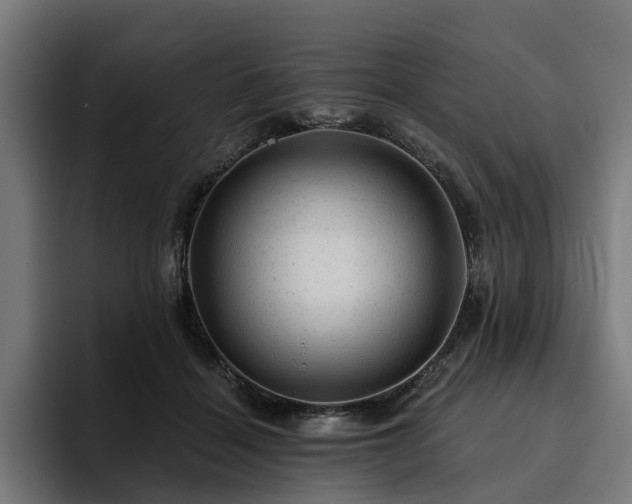 X0000094770460200711161359