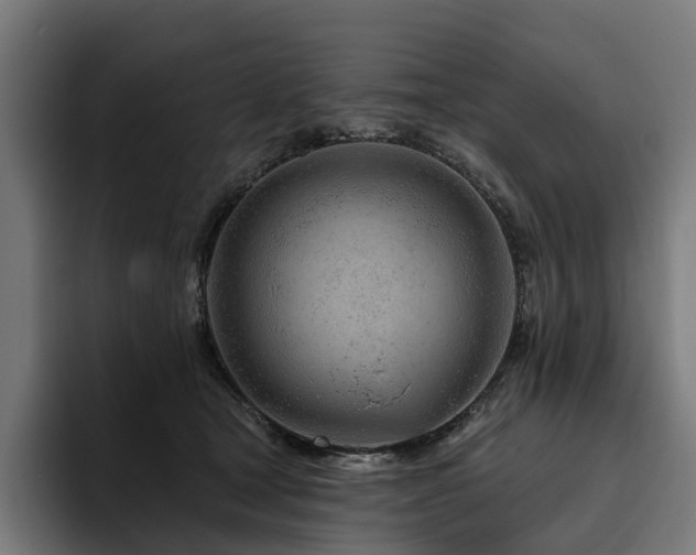 X0000094770465200711161359