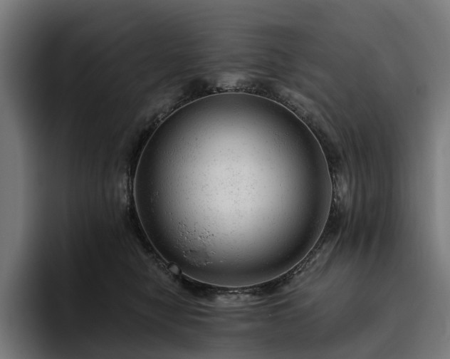 X0000094770470200711161359