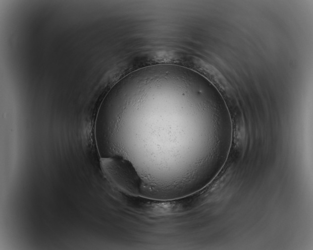 X0000094770473200711161359