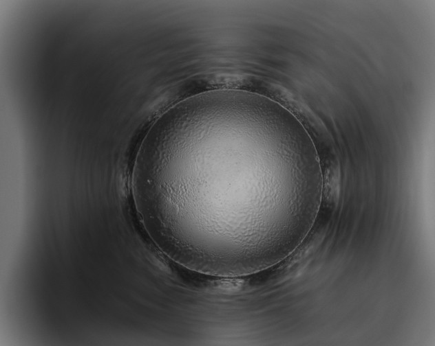 X0000094770474200711161359