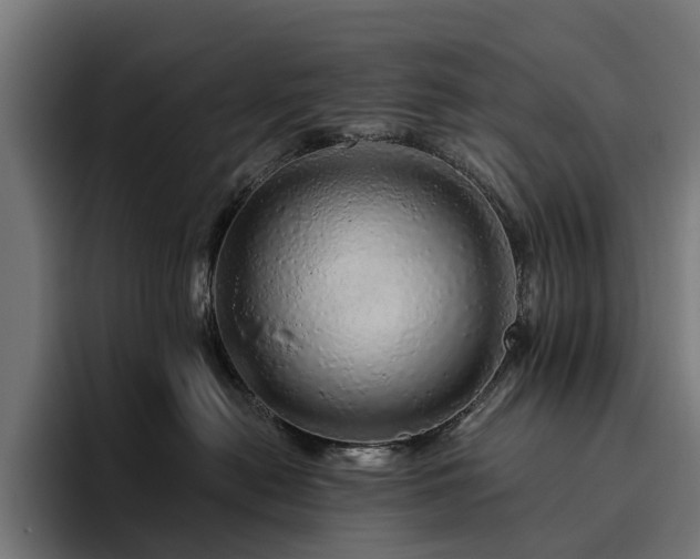 X0000094770478200711161359